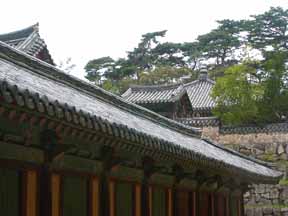 A photo of some
 traditional tiled roofs, both near and distant, in a several hundred years
 old Buddhist temple area in Korea, during a light, misty rain, the curved
 shapes and linear forms standing out visually and texturally from summer
 tree leaves and a high wall made of large stones.