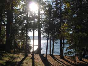 A photo looking
 out to a shining, rippled, blue lake, through tree trunks and leaves
 silhouetted by the bright sun over the lake, in Autumn in upstate New York
 in the United States.